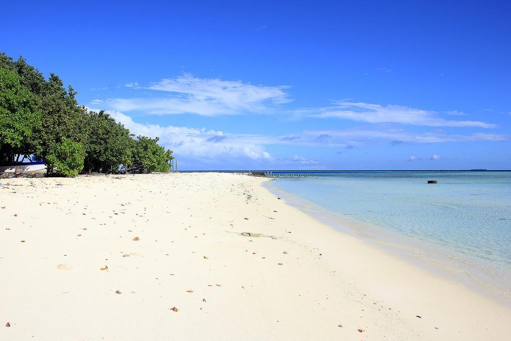 Tropic Tree Maldives Guest house