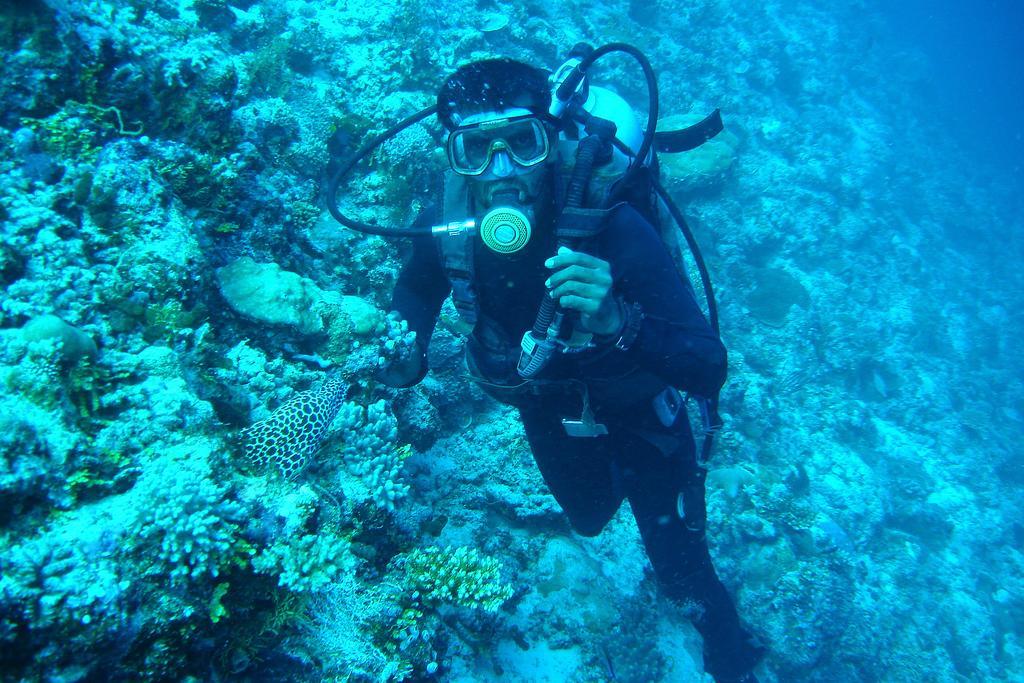 Tropic Tree Maldives Gulhi